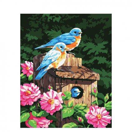 Maľovanie podľa čísiel s rámom "Vtáky" 50x40 cm