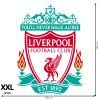 Logo Liverpool FC - textilná nálepka na stenu  3 veľkosti až do 100cm • 1 samostatná nálepka