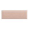 PT PT R M06 PT 100 20 M06 product mask 1