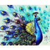 Maľovanie podľa čísiel s rámom "Páv 2" 50x40 cm