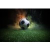 Fototapeta "Futbalová lopta na ihrisku"