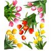 Tulipány - textilná nálepka na stenu  Hárok 60×70cm • 6 samostatných nálepiek