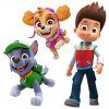 PAW Patrol 5 - nálepka na stenu  Hárok 60×70cm • 9 samostatných nálepiek