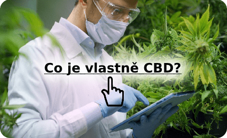 Co je CBD?