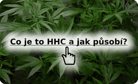 Co je to HHC a jak působí?