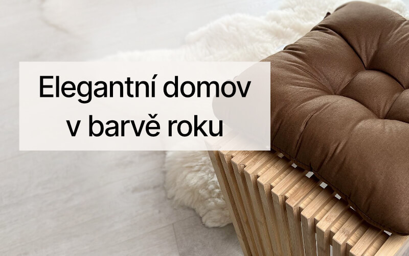 Hnědá barva roku