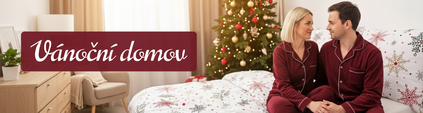 Vánoční domov
