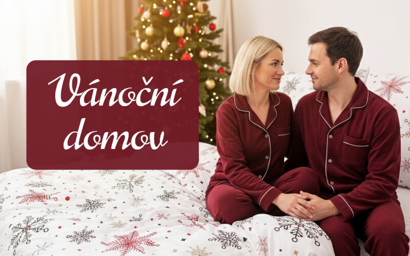 Vánoční domov