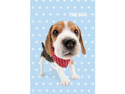 DOG 02 T 30x50 (004)
