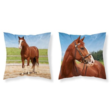 Polštář Kůň v ohradě  - 40x40