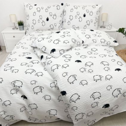 Návrh bez názvu 2025 11 05T111416.528