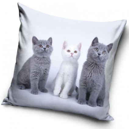 Poťah na Vankúš Mačacie súrodenci - 40x40