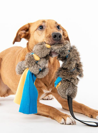 Motivační hračky s kožešinou