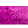 Flat Coated Retriever + silueta