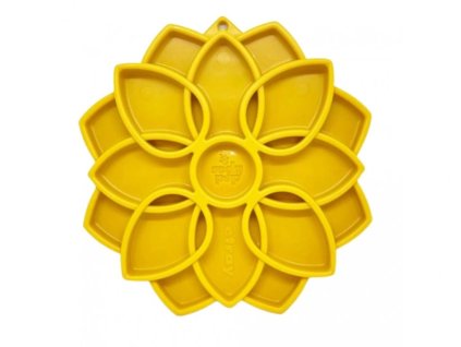 526 sodapup mandala zluta