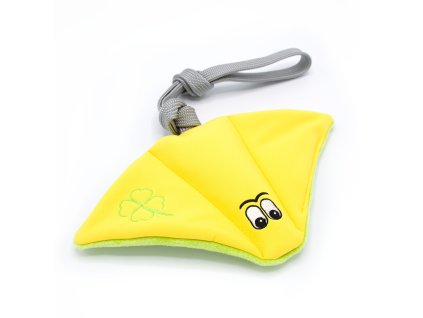 Rejnok pro štěstí