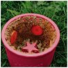 4069 1 lickimat lizaci miska yoggie pot ruzova