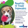 4 Benefits SodaPup Treat Dispensers SodaPup Honey Pot PUP X min 1
