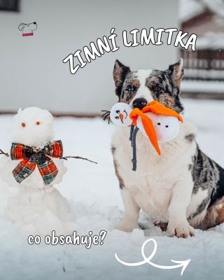 Zimní limitka v plné sestavě ❄️🐾 Tu najdete všechny hračky, které patří do naší zimní kolekce – takové, které se po zimě...