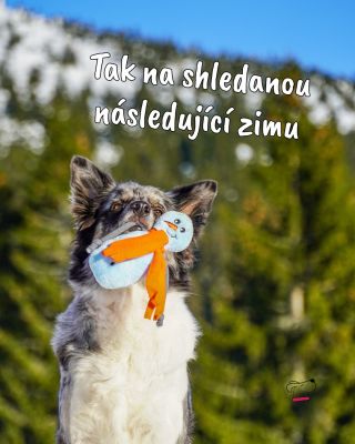 Zimní limitka se loučí. Od zítřka už ji na e-shopu nenajdete 😢 👉 Která zimní hračka vám bude chybět nejvíc? ❄️🐾