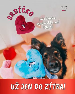 Valentýnský dárek - srdíčko ❤️ - od nás dostanete k objednávkám nad 1000 kč už jen dnes a zítra. Využijte poslední šanci...