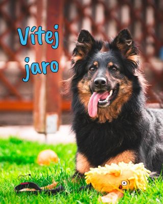 Těšili jsme se na tebe hned z několika důvodů. Na delší dny, víc slunce, teplejší procházky… a samozřejmě i na naši jarní...