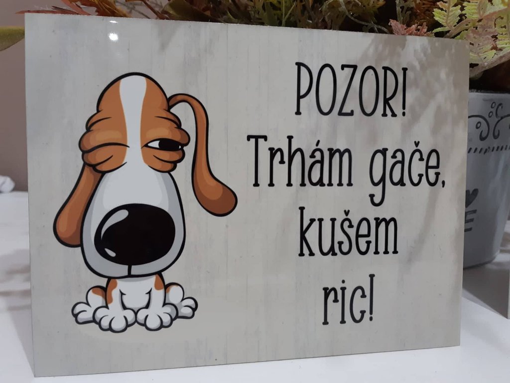 Ako vybrať tabuľku Pozor PES: motív, fotografiu, text a rozmer