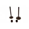 PIT01714 Ventily 23mm 28mm 150cc (6)