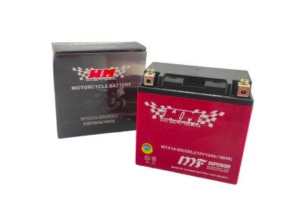 PIT02528 Akumulátor 12Ah (YTX14 BS) GEL (7)