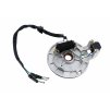 Zapaľovanie stator 1 cievkové Pitbike YX140 7723100594110 (3)