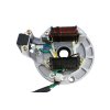 Zapaľovanie stator 2 cievkové Pitbike (plast. kon) 7723100613118 (9)