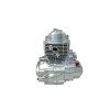 PIT01146 Motor ATV Shineray 250cc 4+1 167FMM (6)