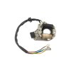 PIT01554 Zapaľovanie stator 2 cievkové ATV (plast. kon) (8)