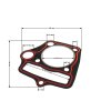 PIT02189 Tesnenie pod hlavu motora 125cc 54,00mm 1 New