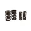 PIT02310 Pružiny ventilov motora 156FMI (6)