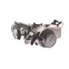 PIT02414 Motor minibike 60cc 44mm (11zT8F) clasic s prevodovkou