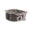 PIT02462 Hlava motora kostra 150cc GY6 1