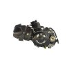 PIT02668 Motor ATV 125cc 3 + 1 poloautomat typ2 (5)