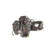 PIT02668 Motor ATV 125cc 3 + 1 poloautomat typ2 (8)