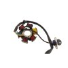 PIT02967 Zapaľovanie stator 6 cievkové ATV 3+1+1pinsamica (6)