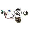 PIT03252 Kabeláž PitBike 110 125cc kompletná (4)