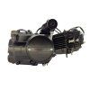 PIT03324 Motor ATV 110cc automat typ2 (10)