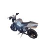 14349 1 e minibike paonago adv 250w special edition