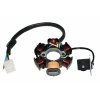 Zapaľovanie stator 6 cievkové ATV 4+1pinsamec 7723100556194 (3)