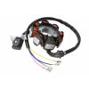 Zapaľovanie stator 8 cievkové 7723100556293 (9)