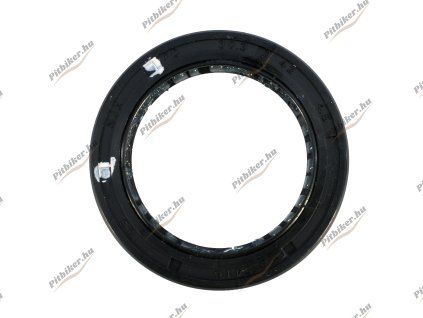 PIT00760 - Gufero 30,3x42x4,5x13