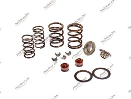 PIT02487 - Pružiny ventilov motora YX140 - komplet