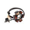 PIT01092 - Zapaľovanie stator 6-cievkové - ATV AC