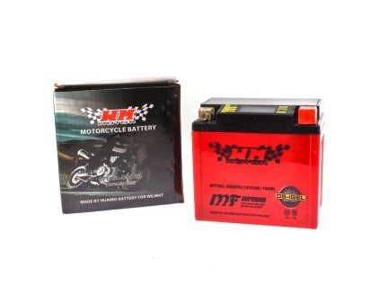 PIT02282 - Acumulator 5Ah (WTX5L-BS(DS)) - GEL + display