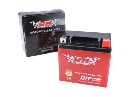 PIT00003 - Acumulator 5Ah (WTX5L-BS) - GEL